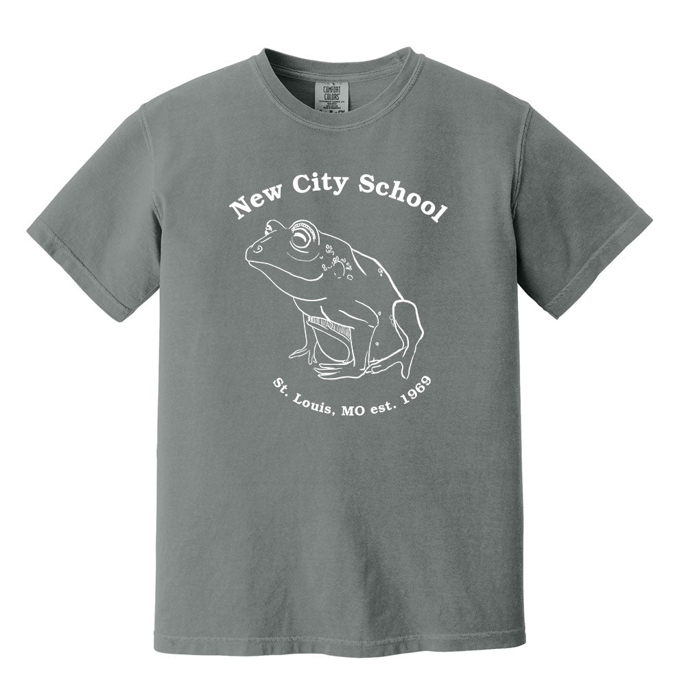New City School - New City Frog -Comfort Colors Youth Heavyweight Tee
