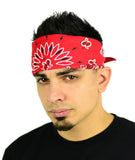 Classic Paisley or Solid Color 27" x 27" Bandanas - Mato & Hash