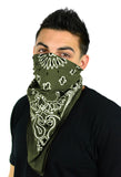 Classic Paisley or Solid Color 27