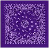 Classic Paisley or Solid Color 27" x 27" Bandanas - Mato & Hash