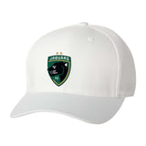Jaguars Flexfit Cotton Blend Cap Embroidery - Mato & Hash