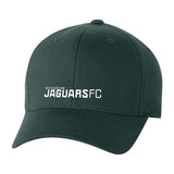 Jaguars Flexfit Cotton Blend Cap Embroidery - Mato & Hash