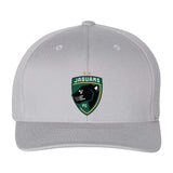 Jaguars Flexfit Cotton Blend Cap Embroidery - Mato & Hash