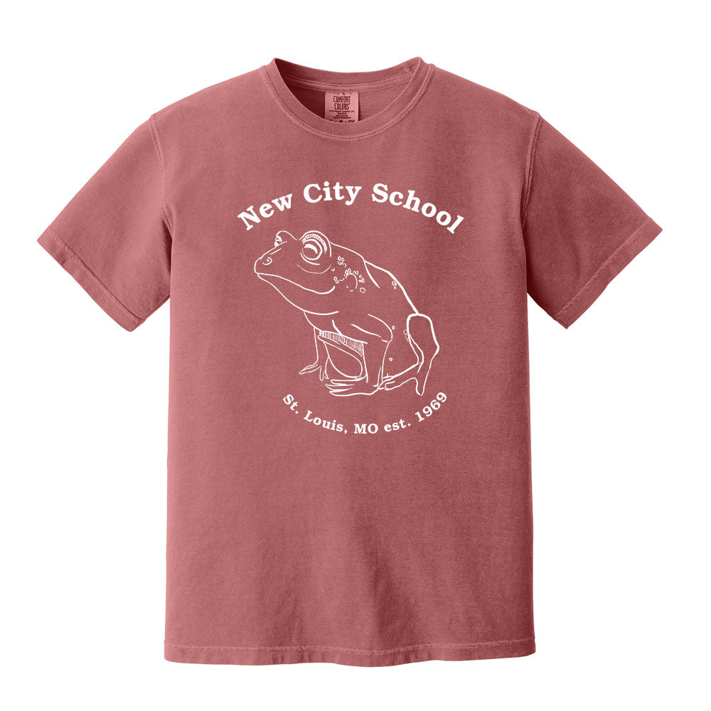 New City School - New City Frog -Comfort Colors Youth Heavyweight Tee