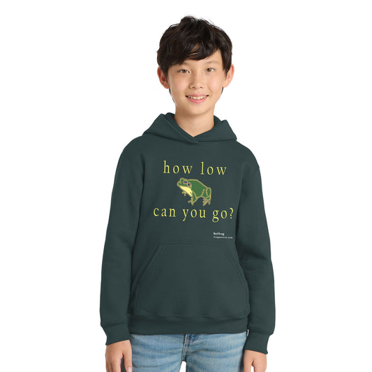 Froggy Voice - How Low Can You Go Youth Pullover Hoodie