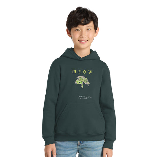 Froggy Voice - Meow Youth Pullover Hoodie