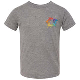 Bella + Canvas Toddler Triblend T-Shirt Embroidery