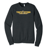 Troy Sting Bella + Canvas Unisex Cotton/Polyester Fleece Raglan Crewneck Sweatshirt Embroidery - Mato & Hash